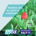 Epsom Salt  ( Magnesium Sulfate)For Garden Bath, Foot Soak and other uses 250g 500g 1kg 2kg 5kg. 