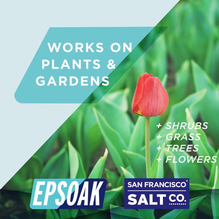 Epsom%20Salt%20%20(%20Magnesium%20Sulfate)For%20Garden%20Bath,%20Foot%20Soak%20and%20other%20uses%20250g%20500g%201kg%202kg%205kg%20-%20Image%203