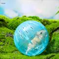 Small Hamster Ball Hamster Exercise Ball for Small Animals Cage Accessories Blue. 
