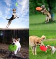 Natural Rubber Frisbee for Dogs- M-size. 