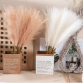 Simulation Flowers Reed Pampas Grass Fake Flowers Decorative Flower Arrangements Window Living Room Wedding Floor Decorative Flowers. 