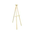 Scan large easel (wooden stand). 