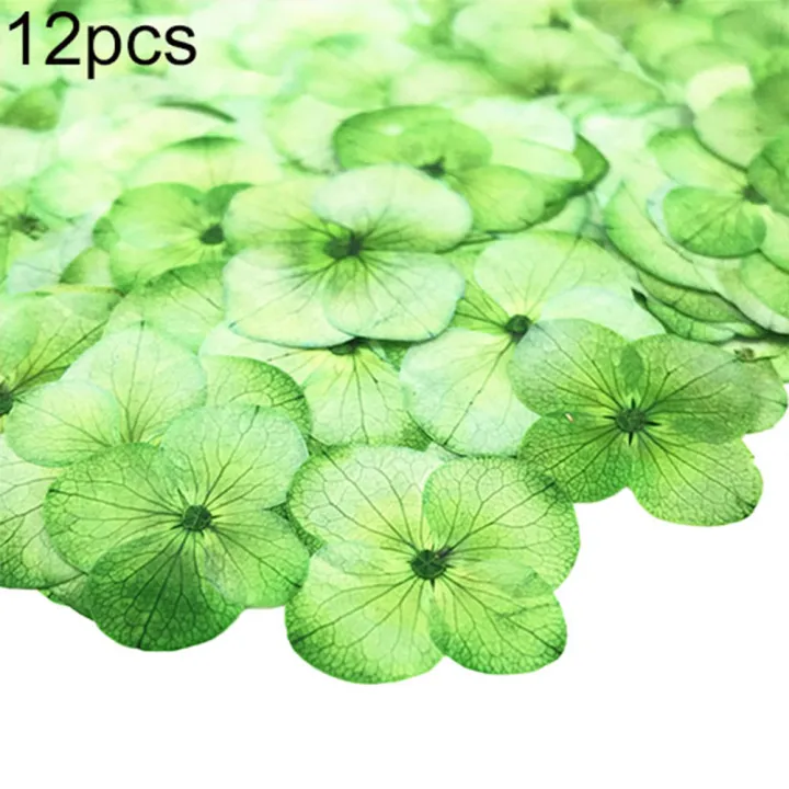 12Pcs%20Pressed%20Dried%20Flower%20Plant%20Specimen%20Epoxy%20Resin%20Phone%20Decor%20DIY%20Accessory%20-%20Image%203