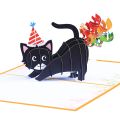 birthday cards 1 Pop UP Happy Birthday Greeting Invitation Cards 3D Black Cat Birthday Card Greeting Cards And Envelopes Party SupplyGift Cards Tags. 