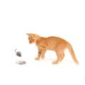 BRADOO 36Pcs False Mouse Cat Pet Toys Cat Long-Haired Tail Mice Sound Rattling Soft Real Rabbit Fur Sound Squeaky Cat Toy. 