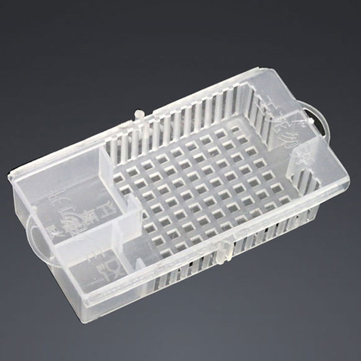 Beekeeping%20Transport%20Cages%20White%20Bees%20Queen%20Post%20Room%20Cage%20Plastic%20King%20Prisoner%20Queen%20Bee%20Cage%20Apiculture%20Tools%20-%20Image%203