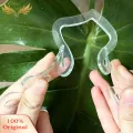 SuperRide Sturdy Plant Support Stand Monstera Leaf Plant Support for Vertical Growth Indoor Outdoor Stem Holder for Flowers Herbs Buyers' Choice. 