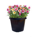 34cm Pot 5pcs set Black High Quality Plastic Flower Pot Long Durability Home Garden. 