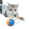 Cat Balls Toys for Indoor Cats Teaser Toys Interactive Play for Kitty Chasing. 
