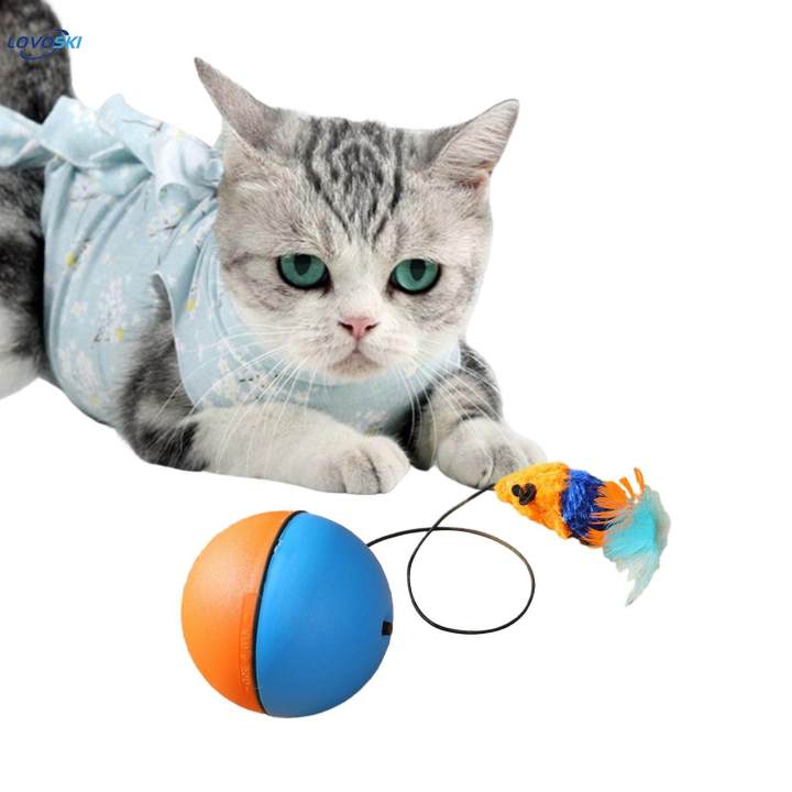 Cat%20Balls%20Toys%20for%20Indoor%20Cats%20Teaser%20Toys%20Interactive%20Play%20for%20Kitty%20Chasing%20-%20Image%207