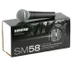 Shure SM-58 Microphone. 