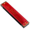 Musical Instrument 32 Holes Metal Bee Mouth Organ for Kids - Harmonica (Key of C). 