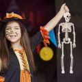 40cm Anatomy Movable Simulation Human Skeleton Halloween Skull Bones Bride and Groom Haunted House Horror Props Home Decoration. 
