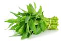 Thai Water Spinach Seeds Kang Kong Beeja කංකුං බීජ 100g. 
