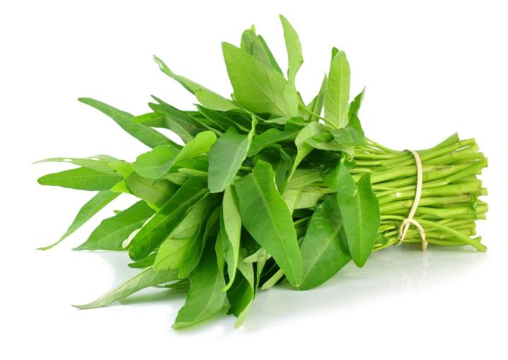 Thai%20Water%20Spinach%20Seeds%20Kang%20Kong%20Beeja%20%E0%B6%9A%E0%B6%82%E0%B6%9A%E0%B7%94%E0%B6%82%20%E0%B6%B6%E0%B7%93%E0%B6%A2%20100g%20-%20Image%204