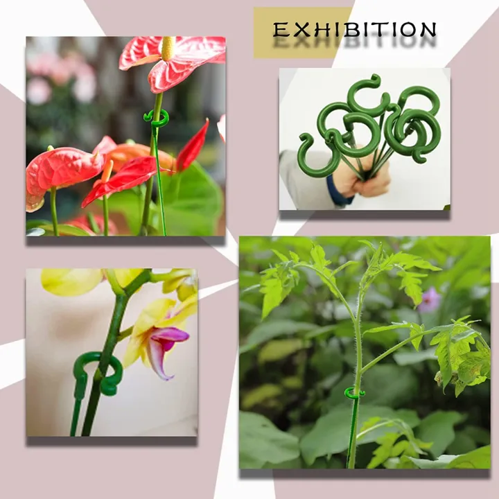 30%20Pack%20Plant%20Support%20Stakes%20Garden%20Single%20Stemmed%20Plant%20Support%20Plant%20Stakes,%20Plant%20Prop,%20Plant%20Sticks%20-%20Image%202
