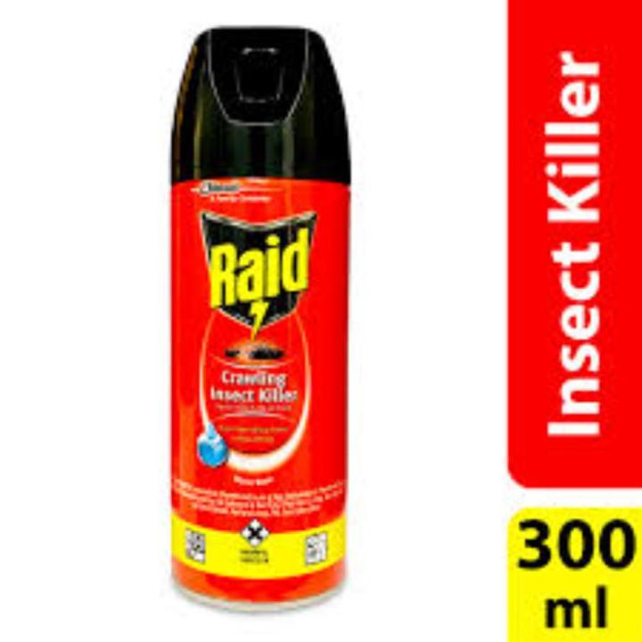 Raid Crawling Insect Killer 300ml