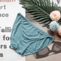 PT010 PREMIUM TADA M066 LOW WAIST SIDE LINE CHEEKY SEAMLESS PANTIES WOMEN LADIES GIRL UNDERWEAR MODAL COTTON. 