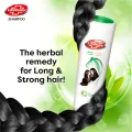 Lifebuoy Strong & Long Herbal Shampoo, 175ml. 