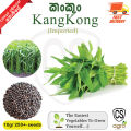 Kangkong Water Spinach 10g Seeds Gardening Agriculture Home CS Agro High Quality seed. 
