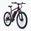 LYCAN E-HOUND E-Bike. 