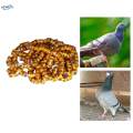 100Pcs 2024 Pigeon Aluminium Dove Leg Rings Accessories Lightweight Inner. 
