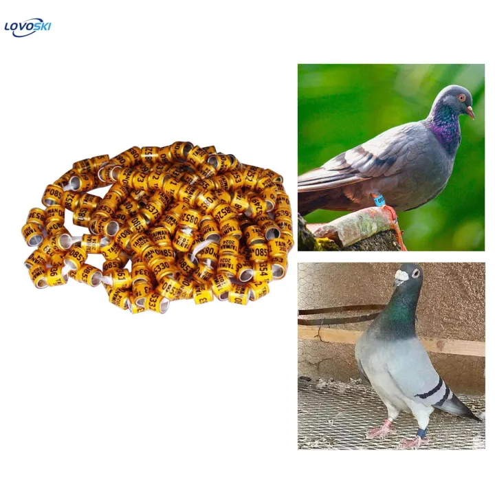 100Pcs%202024%20Pigeon%20Aluminium%20Dove%20Leg%20Rings%20Accessories%20Lightweight%20Inner%20-%20Image%205