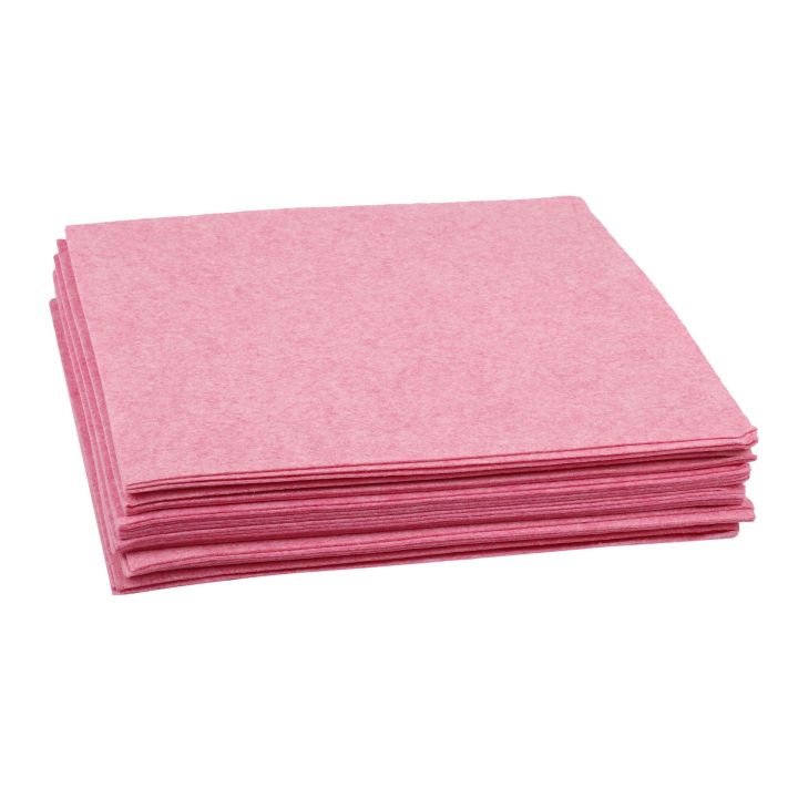 (GGBR) 30Pcs Kitchen Cleaning Cloth Oil Proof Rag Coconut Shell ...