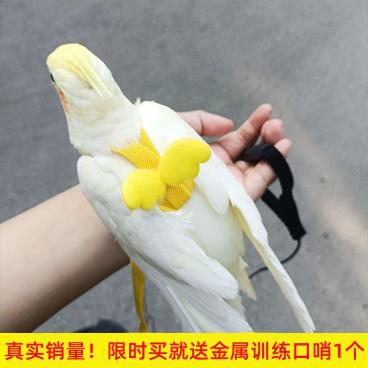 Parrot%20Flying%20Rope%20Super%20Long%20Bird%20Walking%20Hand%20Holding%20Rope%20Super%20Light%20Strap%20Not%20Hurt%20Feet%20Tiger%20Skin%20Xuanfeng%20out%20Flight%20Rope%20-%20Image%202