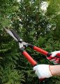 Garden Scissor Curved Hedge Stainless Pruning Shears. 