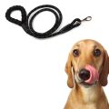 A Pet Supplies EVA Reflective Round Rope Explosion-proof Oxford Chest Strap For Medium And Large Dogs Dog Traction Rope. 