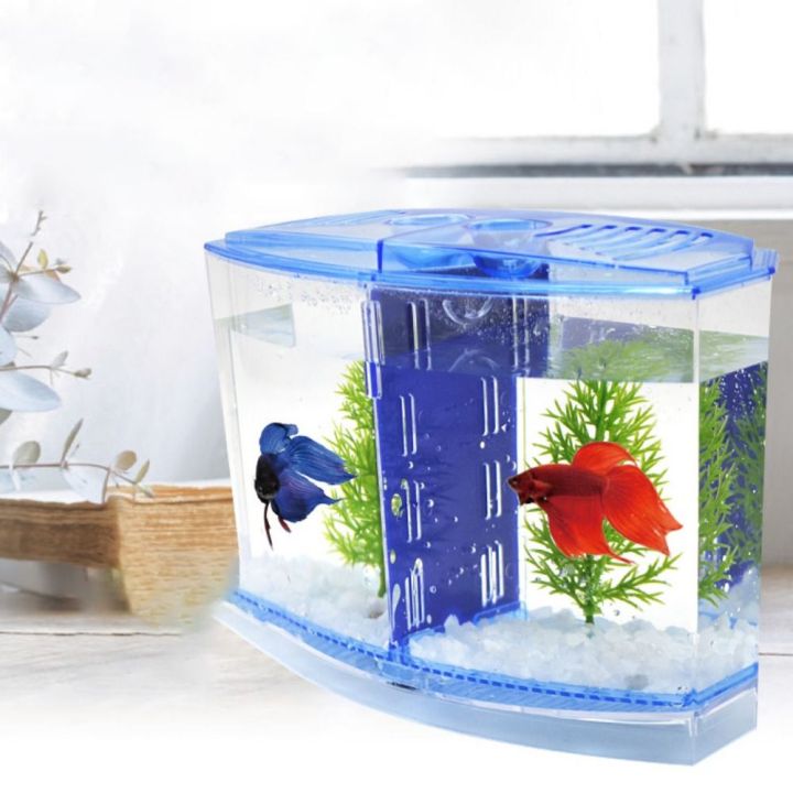 Practical Transparent Betta Fish Plastic Single/Double Grid Double-grid ...