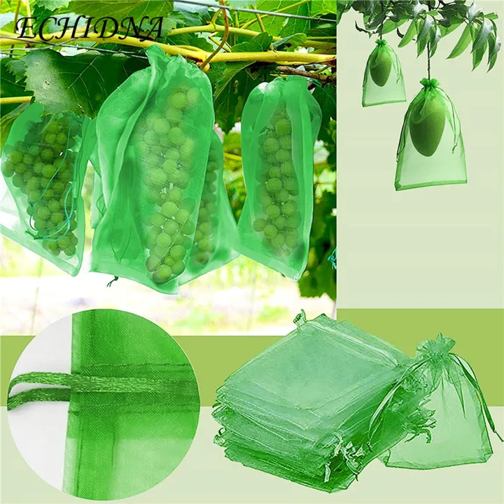Mesh%20Fruit%20Protectors%20100pcs%20Fruit%20Protection%20Mesh%20Bags%20Drawstring%20Netting%20Cover%20Bird-proof%20Strawberry%20Blueberry%20Bags%20Buyers'%20Favorite%20Flower%20Pest%20Barrier%20Bag%20-%20Image%205