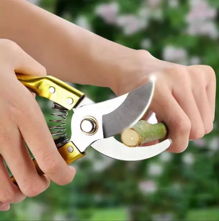 High%20Quality%20Garden%20Gardening%20Branching%20Flower%20Clippers%20Florist%20Quality%20Scissors%20Hand%20Bonsai%20Pruners%20Shear%20-%20Image%203