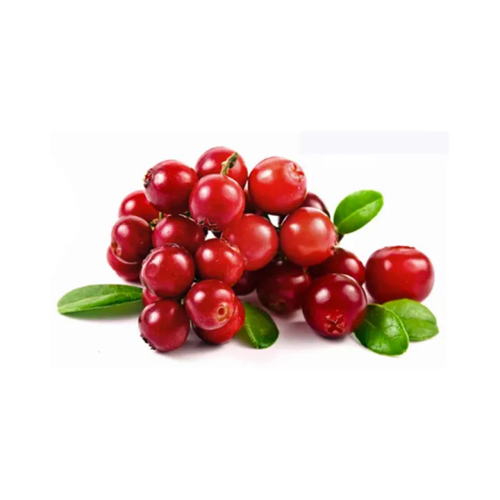 Lovi%20fruit%20plant%20-%20Image%204