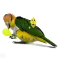 Interactive Parrot Bird Toy Set - 3PCS Sand Hammers for Training and Enrichment. 