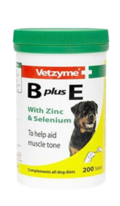 Vetzyme B+E (100 tablets)