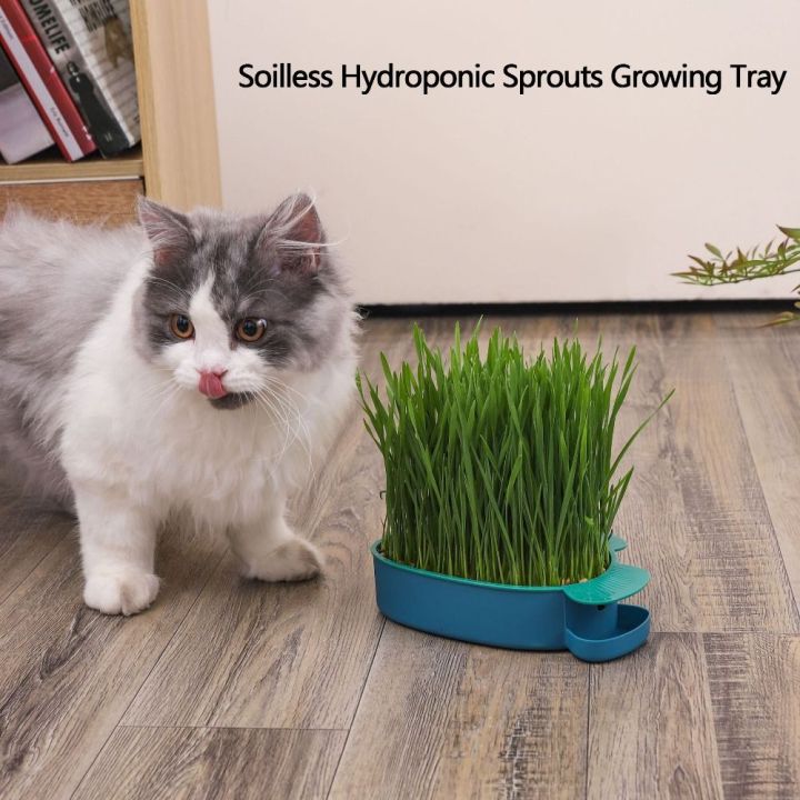 High Quality Hierarchical Design Cultivation Sprouting Tray Creative ...