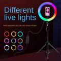 10-Inch RGB Ring Light with Vibrant Color Modes, Sturdy Tripod, and Adjustable Phone Holder for High-Quality Social Media Content. 