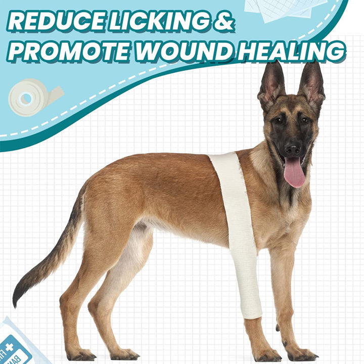 1%20Roll%20Cotton%20Tubular%20Stockinette%20Gauze%20Roll%20Tubular%20Arm%20Stocking%20Elastic%20Leg%20Stockinette%20Tubing%20Compression%20Tube%20Sleeve%20Bandage%20-%20Image%205