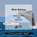 Trincomalee - Whale Watching - Per Person (Min 4 Pax). 