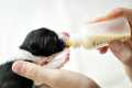 Pets Cat Milk Bottle Feeding Nipple Nursing Care Set Feeder Kit for Puppy Kitten Baby Squirrel Animal Pets Dogs Feeding Kit Feeding Bottle Pet Feeder Dog Bottle Feeder Set. 