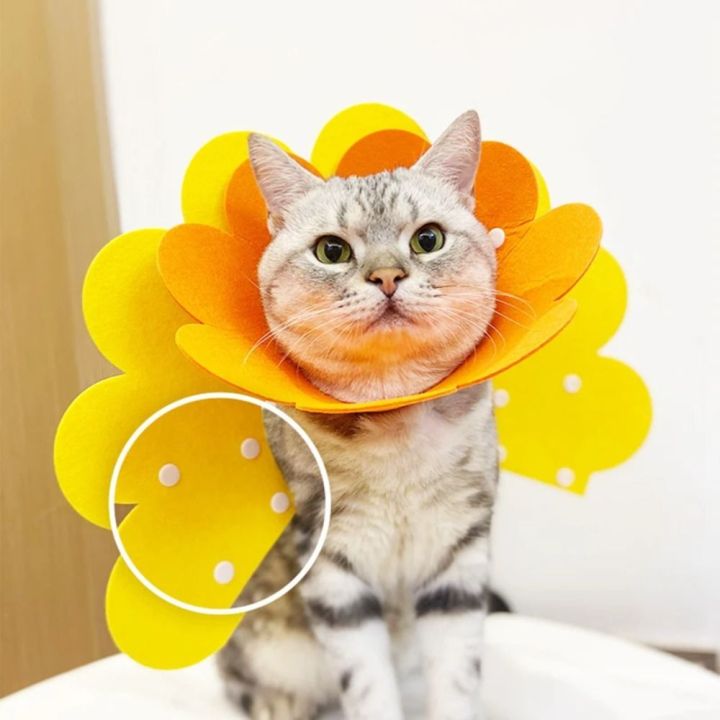 Portable%20Flower%20Shaped%20Dog%20Protective%20Collar%20Adjustable%20After%20Surgery%20Cat%20Elizabethan%20Collar%20Anti-Bite%20Wound%20Healing%20Pet%20Accessories%20Cat%20-%20Image%204