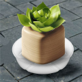 20 Pack Plant Saucers Drip Tray 6 Inch Clear Plastic Flower Pot Saucers for Indoor Plants, Plant Drip Tray for Pots. 