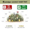 Paradyes No Bleach Hazel Brown Glossy Hair Tint, Ammonia-Free Formula for Natural Black Hair, Visible on Natural Black Hair, Enriched with Herbal Extracts, Includes Anti-Fade Conditioner for Long-Lasting Shine, 5 Light Brown(FROM INDIA)NUSS. 