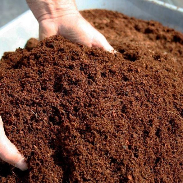 Coco%20Peat%205KG%20Fertilizer%20Agriculture%20%E0%B6%B4%E0%B7%92%E0%B6%BB%E0%B7%92%E0%B7%83%E0%B7%92%E0%B6%AF%E0%B7%94%20%E0%B6%9A%E0%B6%BB%E0%B6%B1%E0%B6%BD%E0%B6%AF%20%E0%B6%9A%E0%B7%9C%E0%B7%84%E0%B7%94%E0%B6%B6%E0%B6%AD%E0%B7%8A%20Home%20Garden%20Grow%20-%20Image%204