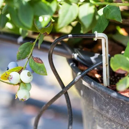 Micro%20Tube%20Drip%20Irrigation%203.2x5mm%2010m/50m/100m%20-%20Image%204