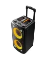 F&D PA200 80 Watt Wireless Portable Bluetooth Speaker. 