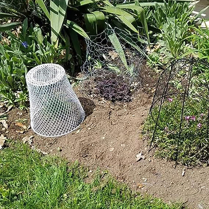 Plant%20Protection%20Cover%20Premium%20Metal%20Garden%20Cloche%20with%20Fine%20Mesh%20Ultimate%20Plant%20Protection%20for%20Outdoor%20Plants%20Animal-proof%20Mulch%20Guard%20Easy-to-install%20Plant%20Cages%20Vegetable%20Protection%20Mesh%20-%20Image%205