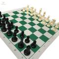 Portable Chess Set Foldable Chess Board with Travel Bag for Storage Chess Set Folding Chess Game S. 